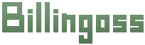 Billingoss Логотип